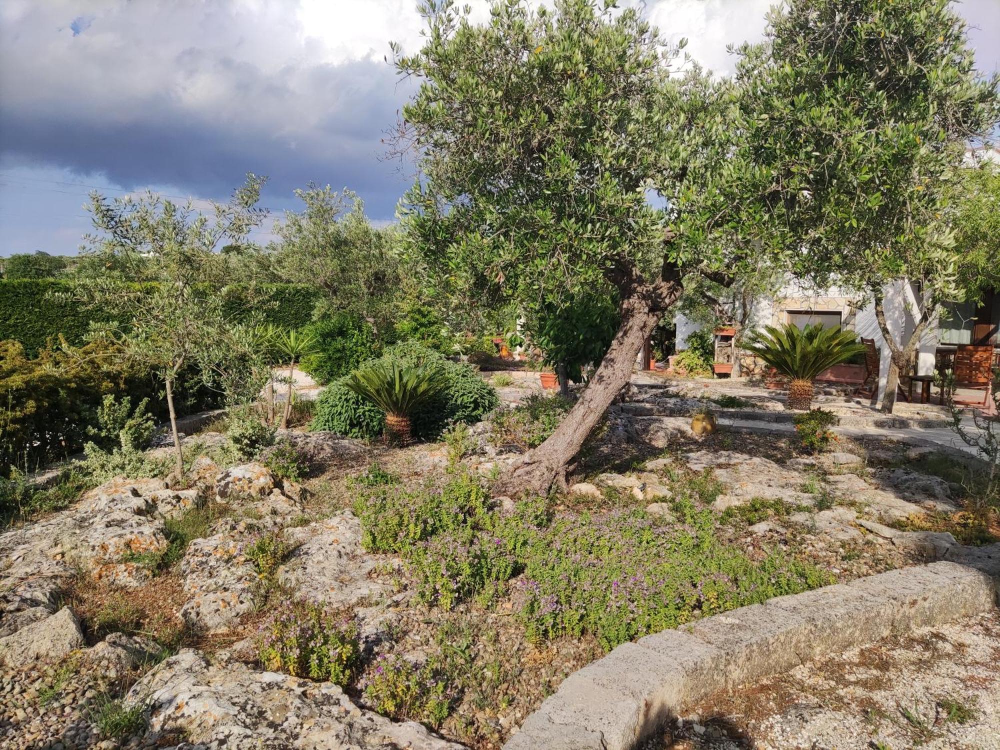 Villa Giulia B&B Castellana Grotte Eksteriør bilde